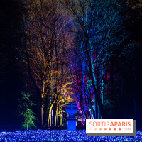 Lumières en Seine, les photos du parcours féérique 