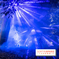 Lumières en Seine, les photos du parcours féérique 