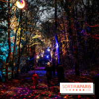 Lumières en Seine, les photos du parcours féérique 