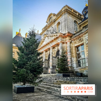 Vaux-le-Vicomte en lumières pour Noël : fêtez les 400 ans de Jean de la Fontaine