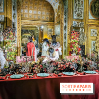 Vaux-le-Vicomte en lumières pour Noël : fêtez les 400 ans de Jean de la Fontaine