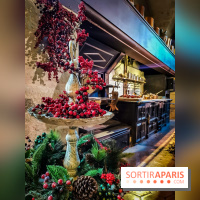 Vaux-le-Vicomte en lumières pour Noël : fêtez les 400 ans de Jean de la Fontaine