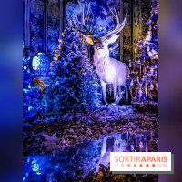 Vaux-le-Vicomte en lumières pour Noël : fêtez les 400 ans de Jean de la Fontaine