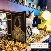 Vaux-le-Vicomte en lumières pour Noël : fêtez les 400 ans de Jean de la Fontaine