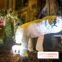 Vaux-le-Vicomte en lumières pour Noël : fêtez les 400 ans de Jean de la Fontaine