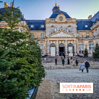 Vaux-le-Vicomte en lumières pour Noël : fêtez les 400 ans de Jean de la Fontaine