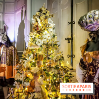 Vaux-le-Vicomte en lumières pour Noël : fêtez les 400 ans de Jean de la Fontaine