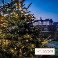 Vaux-le-Vicomte en lumières pour Noël : fêtez les 400 ans de Jean de la Fontaine