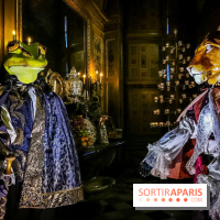 Vaux-le-Vicomte en lumières pour Noël : fêtez les 400 ans de Jean de la Fontaine