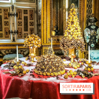 Vaux-le-Vicomte en lumières pour Noël : fêtez les 400 ans de Jean de la Fontaine