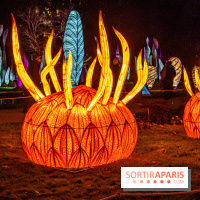 Festival des lumières du Jardin des Plantes 2021, l'Evolution en voie d'illumination - nos photos