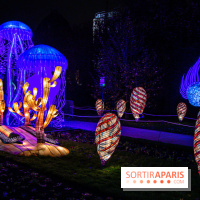 Festival des lumières du Jardin des Plantes 2021, l'Evolution en voie d'illumination - nos photos
