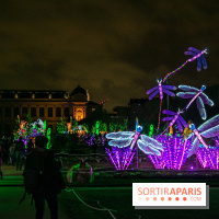 Festival des lumières du Jardin des Plantes 2021, l'Evolution en voie d'illumination - nos photos