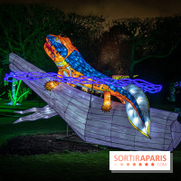 Festival des lumières du Jardin des Plantes 2021, l'Evolution en voie d'illumination - nos photos