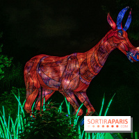Festival des lumières du Jardin des Plantes 2021, l'Evolution en voie d'illumination - nos photos