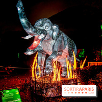 Festival des lumières du Jardin des Plantes 2021, l'Evolution en voie d'illumination - nos photos