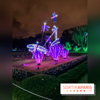 Festival des lumières du Jardin des Plantes 2021, l'Evolution en voie d'illumination - nos photos