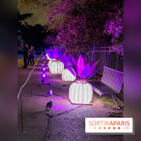Festival des lumières du Jardin des Plantes 2021, l'Evolution en voie d'illumination - nos photos