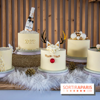 Bûche 2021 Candy Paradis