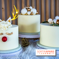 Bûche 2021 Candy Paradis