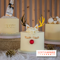 Bûche 2021 Candy Paradis