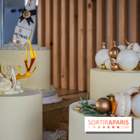 Bûche 2021 Candy Paradis