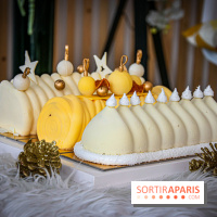 Bûche 2021 Candy Paradis