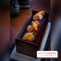 La Bûche de Noël de la Reine Astrid au mucilage 