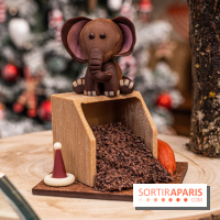 La Bûche de Noël de la Reine Astrid au mucilage 