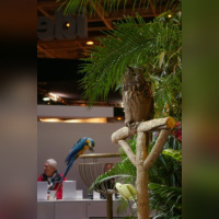 Salon de la Photographie - Paris 2009