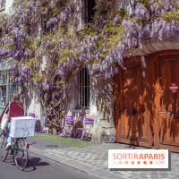 Les cafés fleuris de Paris