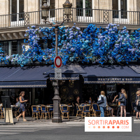 Les cafés fleuris de Paris