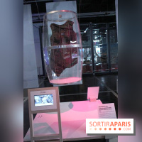 Futurotextiles 3 à la Cité des Sciences : marc de vin