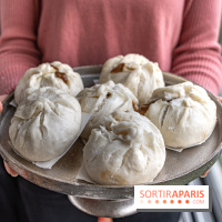 Pâtisseries et douceurs de Nouvel An Chinois-Lunaire