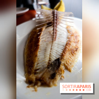 Les Petits Bateaux à Paris, nos photos 