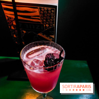 Zanzi : bar à cocktails à Paris, nos photos