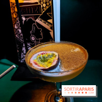 Zanzi : bar à cocktails à Paris, nos photos