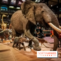 Visuels musée et monument intérieur muséum histoire naturelle