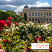 Visuels musée et monument  - museum - jardin des plantes