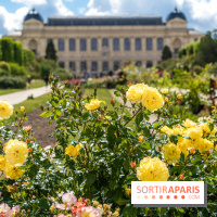 Visuels musée et monument - museum - jardin des plantes