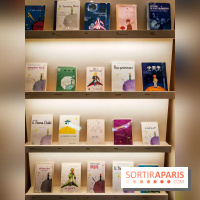 A la rencontre du Petit Prince, l'exposition immanquable du Musée des Arts Décoratifs - nos photos