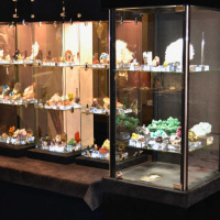 Salon de Minéralogie