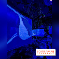 Ephemera, le premier restaurant immersif à Paris