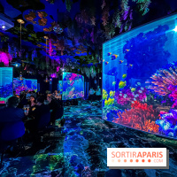 Ephemera, le premier restaurant immersif à Paris