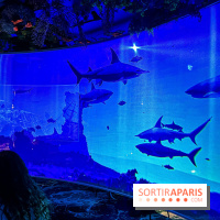 Ephemera, le premier restaurant immersif à Paris