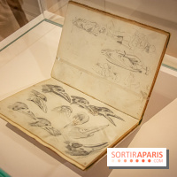 Delacroix et la nature, nos photos de l'exposition au musée Delacroix