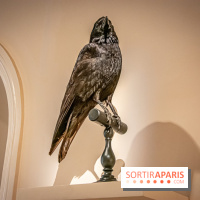 Delacroix et la nature, nos photos de l'exposition au musée Delacroix