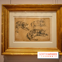 Delacroix et la nature, nos photos de l'exposition au musée Delacroix