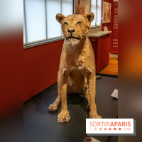 Delacroix et la nature, nos photos de l'exposition au musée Delacroix