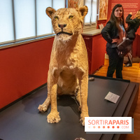Delacroix et la nature, nos photos de l'exposition au musée Delacroix